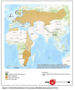 Erasia and Africa Map